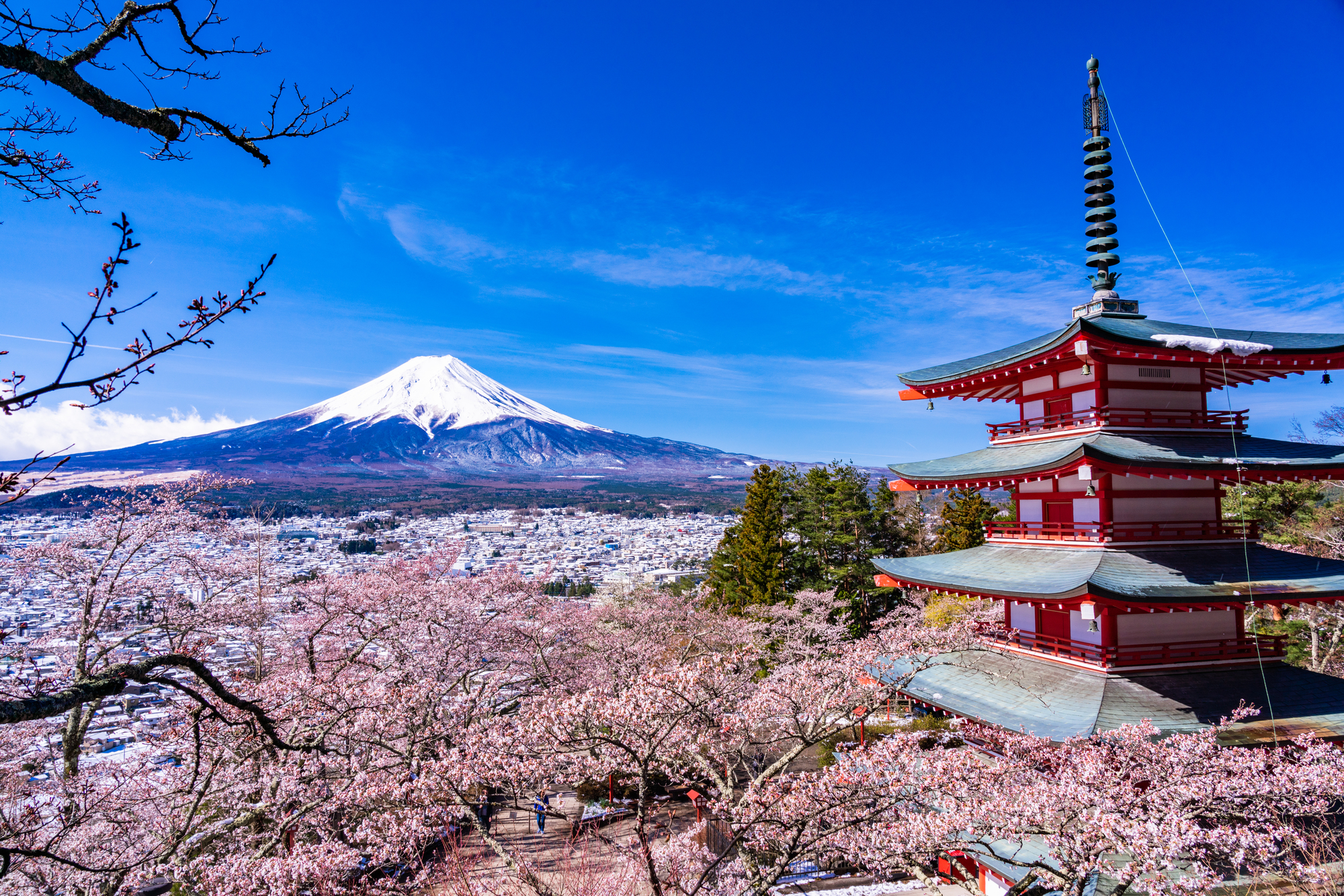 忠霊塔越しの富士山