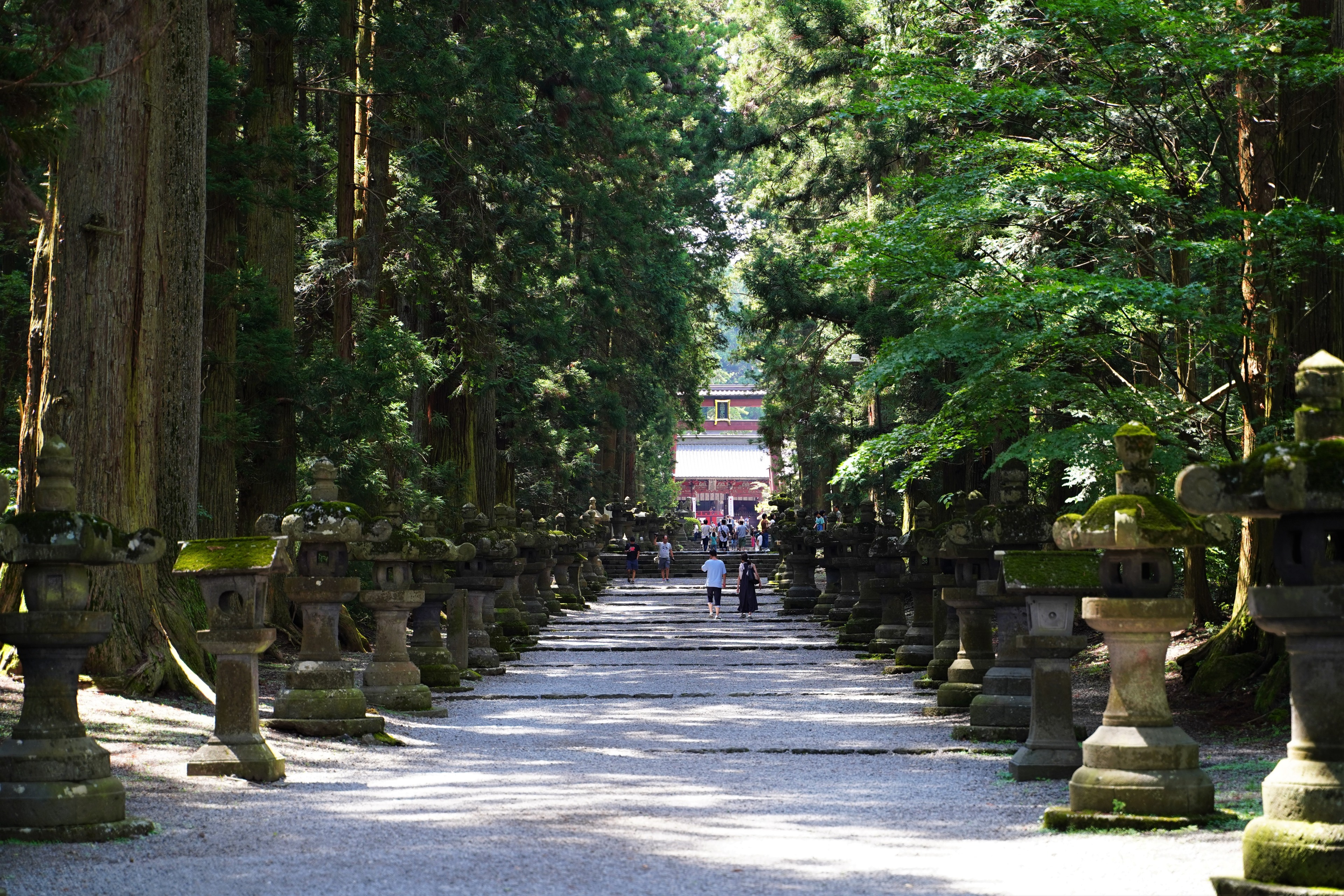 北口本宮冨士浅間神社の参道
