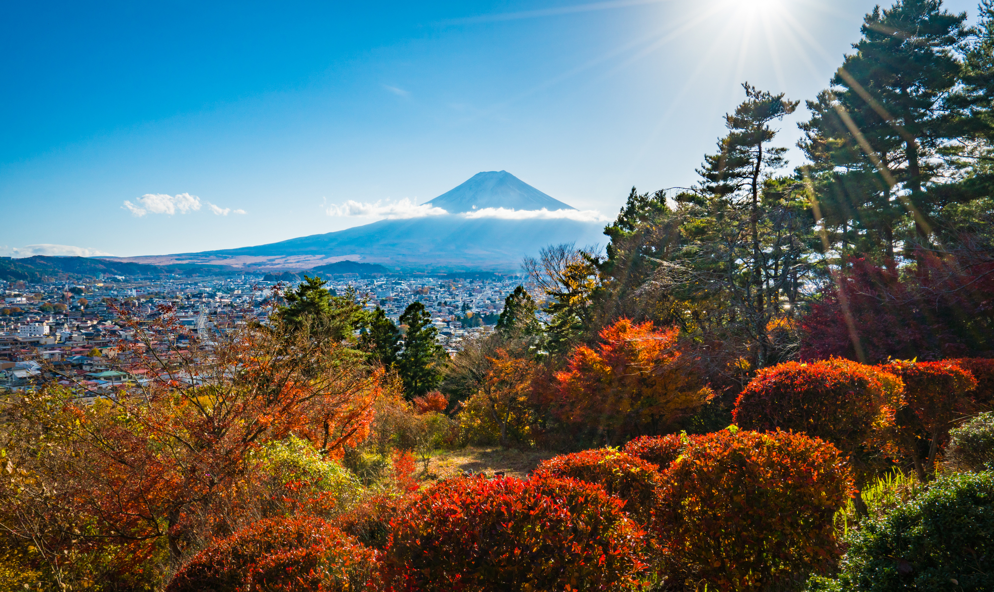 真っ赤な紅葉が彩る秋も魅力的