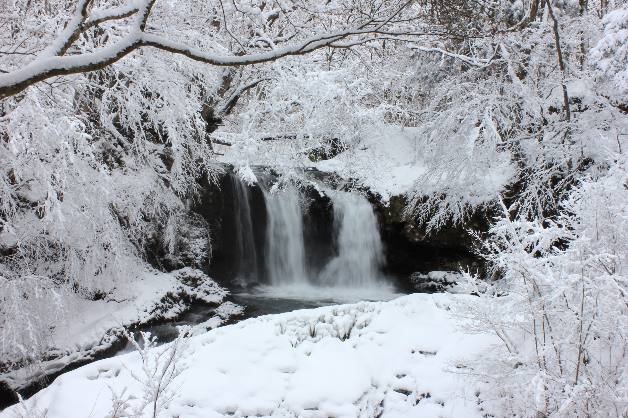 雪深い時期の滝も絶景