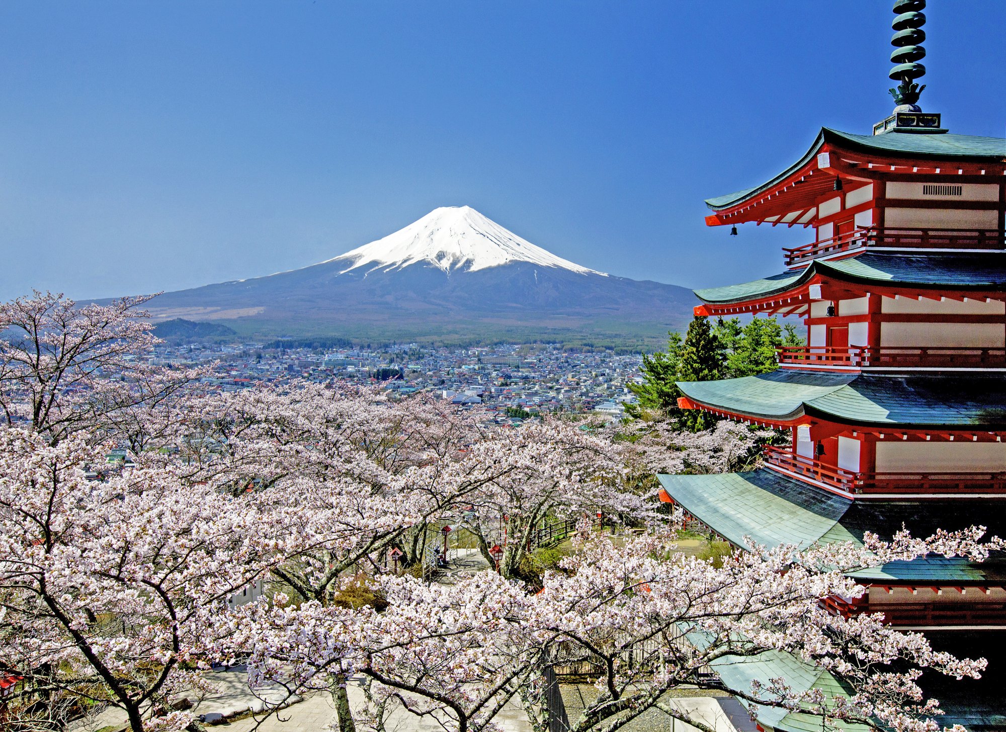 絶景ビュースポットが目白押し！富士山絶景ポイント10選！